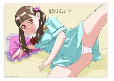 [Momonga Club (Hayashibara Hikari) Dejikon 4 dejitarukontentsuirasuto-shū