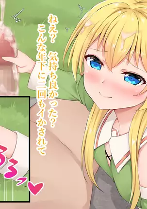 Mori no Yousei Shikorii