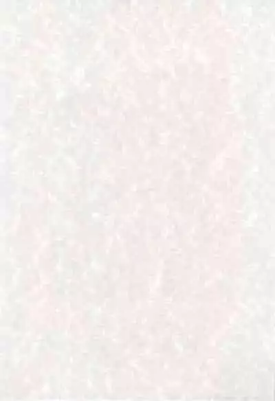 El Barco Blanco en el que Yo Esataba Viviendo