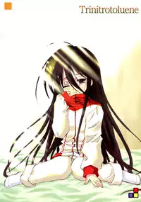 (C66) [Zangyaku Koui Teate (Nasake Muyou)] Trinitrotoluene (Shakugan no Shana) [English]