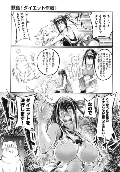 Jūkan! Daietto sakusen!