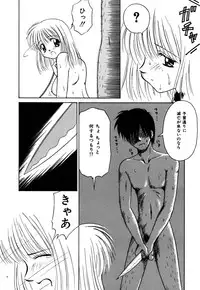 [Donkey] Chocotto Ne