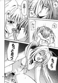 [S-Plus (SHIYAMI)] Hime no Kyuujitsu (Black Cat)