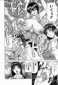 COMIC DOLPHIN 2004-06