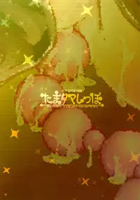 (C81) [Narumiya (Narumiya)] Tama Tama Shippo (Touhou Project) [English] [biribiri]