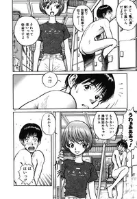 [Armadillo] Neko no Yurikago