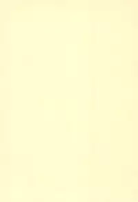 (SC49) [PH (TAM)] Hitoha Moe (Mitsudomoe)