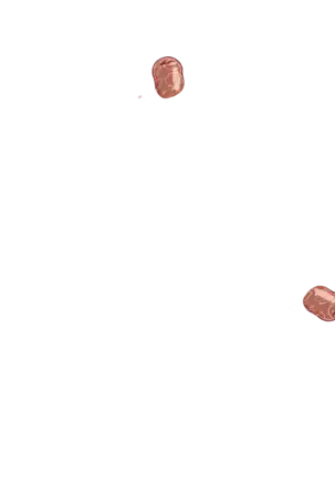 Yuuka-Chirabatta Daiyoukai no Kakera-