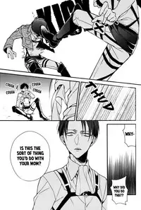 (SUPERKansai19) [6109 (Kirishiki Tokico)] Other Fucker (Shingeki no Kyojin) [English] [humanitys sassiest]