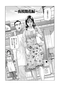 [Hyji] Cho Danchizuma Keiko