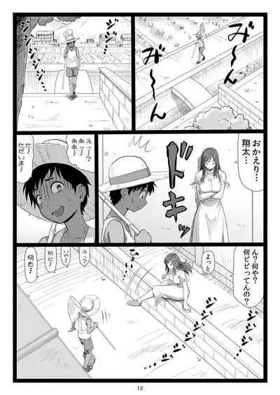 Natsuyasumi no Omoide Joukan