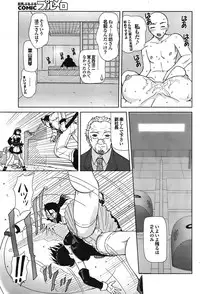 COMIC Purumelo 2008-09 Vol.21