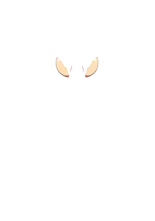 Yuuka-Chirabatta Daiyoukai no Kakera-