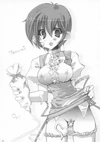 [KEBERO Corporation (Shimokata Kouzou)] Tea room Pressen R