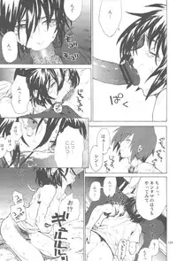 [NEO-de (Natsuzaka)] Tadashii Hito (Gundam Seed Destiny)