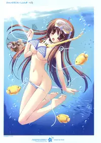 Tsunagaru Bangle - Visual Fan Book