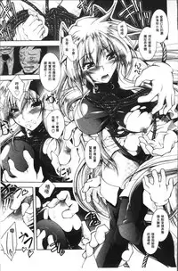 [Parfait] Fallen Justice -Seigi Shittsui- [Chinese]