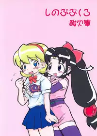 (C66) [Sanketsushuu (Sanzui)] SHINOBUBUKURO (2x2=Shinobuden)