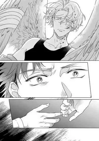 Fukurou no Koiwazurai | 猫头鹰的相思病