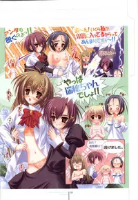 Otome wa boku ni koi shiteru Visual Fanbook (Otoboku)