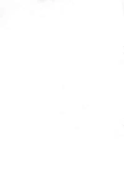 Speed Star Hatsujouchuu