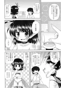 COMIC RiN 2010-12