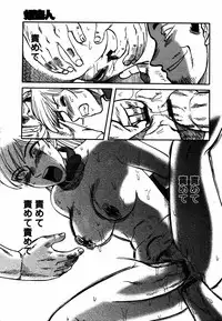 Comic Hime Dorobou 2006-12