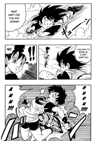 Dragon Ball H - Gohan & Videl [Rehabilitation (Garland)] [English] [Rewrite] [MEMOz]