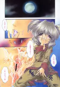 [Noraneko Nagaya] Horoama Omocha Hako