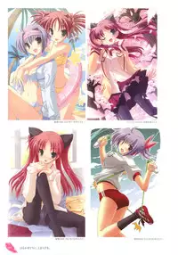 [Tsurugi Hagane] The collection of Tsurugi Hagane pictures Exhibition at Walhalla