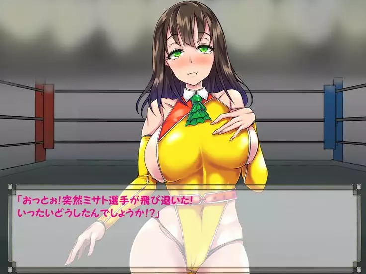 ドMプロレス2 画像集