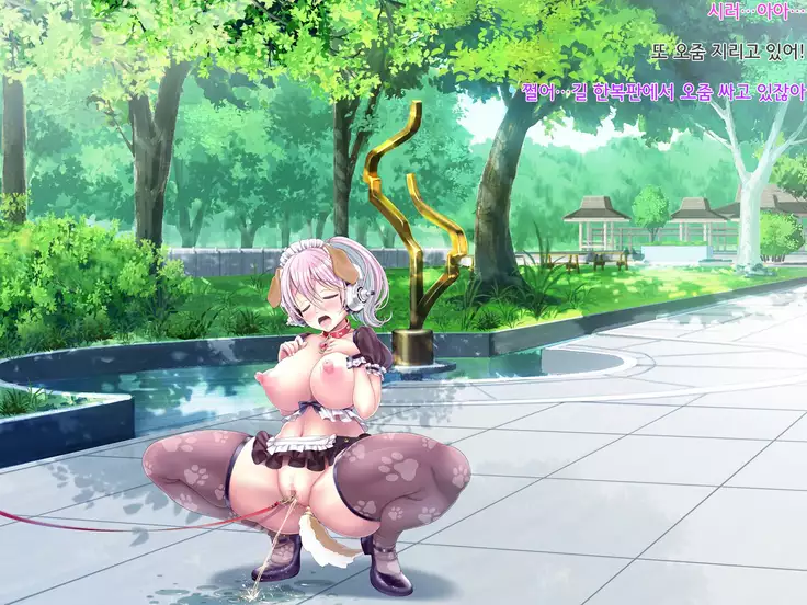 Super Sonico Soushuuhen Tsuika Episode Kouen Sanpo Hen