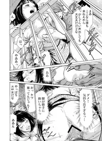 Gaticomi Vol.54