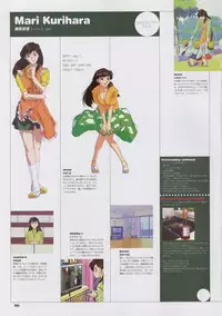 Super Real Mahjong Visual Fan Book Perfect Collection