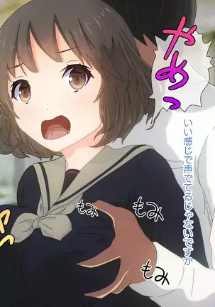 Akutoku Chikan Gekitai Seminar ~Higaisha o Kuimono ni Suru Koushuukai no Jittai~