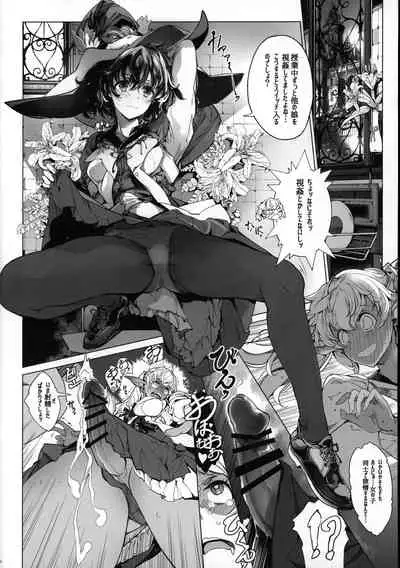 Otome Kishi no Himegoto