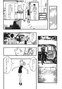 (C88) [Minori Kenkyuujo (Minori Kenshirou)] Higyaku Hime