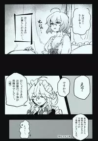 (C81) [S+y] She is a graceful beauty (Touhou Project)