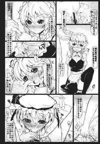 (C81) [Inst] SHADOWS IN BLOOM (Touhou Project)