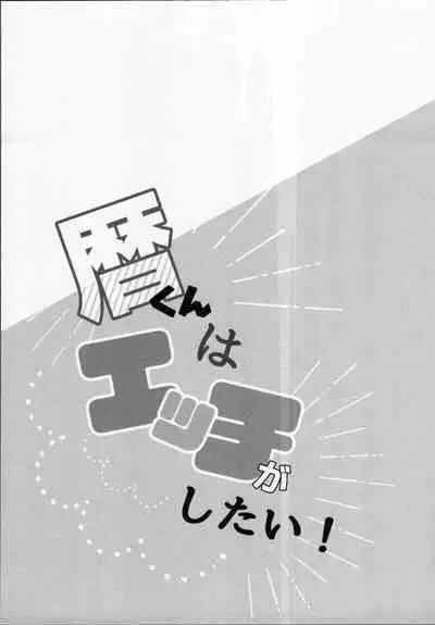 Rekikun wa etchi ga shitai!