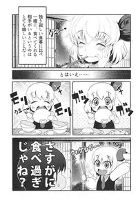 (C91) [Aikotobako (Goriyaku)] Tokumori Rumia (Touhou Project)