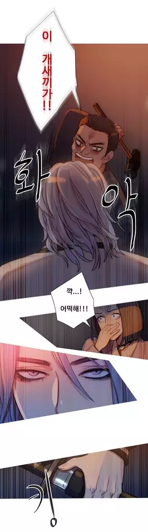 Scandal of the Witch Ch.0-28