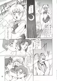 [Himitsu Kessha Tsuki to Yousei] Re-Flesh! (Sailor Moon)