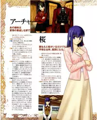 Fate/stay night Premium FanBook