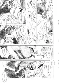 (CR34) [Toko-ya (Kitoen)] Akai Kitsune to Araiguma