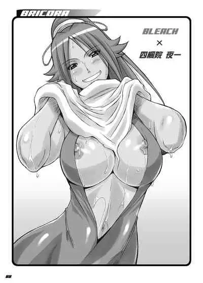 [Diogenes Club (Haikawa Hemlen)] BRICOLA Soushuuhen (Bleach) [Digital]