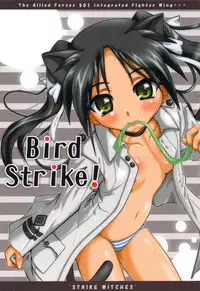 (C77) [Terradrive] Bird Strike! (Strike Witches) [English] [lunatic Translation]