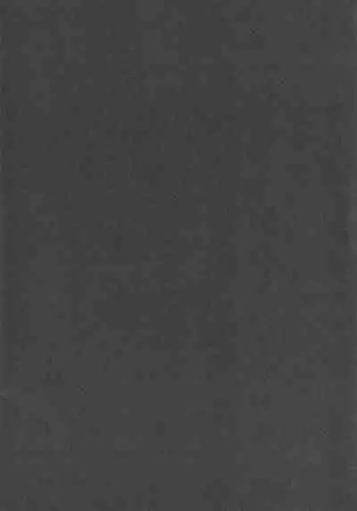 (Reitaisai 15) IRIOMOTE (Saryuu)] Dai Juugo Kai Reitaisai Kaijou Genteibon (Touhou Project)