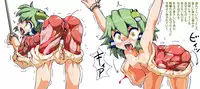 Kaze Shuku Ikenie no Gi (Touhou Project) 風祝生贄ノ儀 | スキヨ (東方Project)