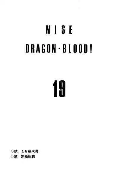 Nise DRAGON BLOOD! 19